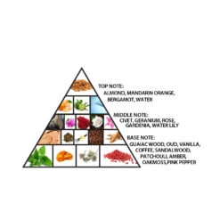 Haramain Detour Noir Exclusif 100ml Eau De Parfum(Haramain Detour Noir Exclusif 100ml Eau De Parfum) -Al Haramain AHP1433 PYRAMID