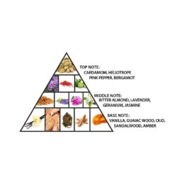 Haramain Detour Noir Intense 100ml Eau De Parfum(Haramain Detour Noir Intense 100ml Eau De Parfum) -Al Haramain AHP1435 PYRAMID