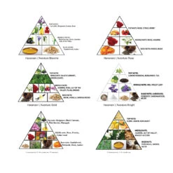 L'Aventure Discovery Set X6 10ml(Laventure Discovery Set X6 10ml) -Al Haramain LA Notes