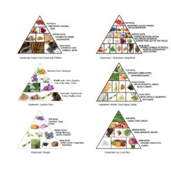 Special Collection Discovery Set X6 10ml(Special Collection Discovery Set X6 10ml) 9 Special Collection Discovery Set X6 10ml(Special Collection Discovery Set X6 10ml) -Al Haramain SC Notes