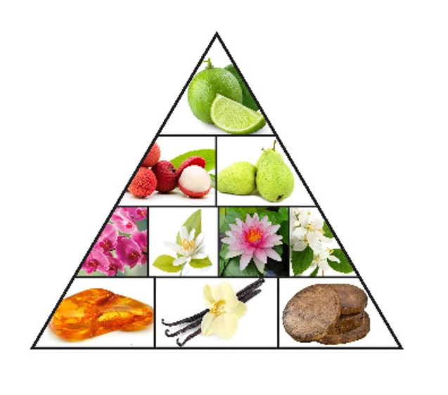 Haramain Xplore Ruby 100ml Eau De Parfum(Haramain Xplore Ruby 100ml Eau De Parfum) 5 Haramain Xplore Ruby 100ml Eau De Parfum(Haramain Xplore Ruby 100ml Eau De Parfum) - Image 3