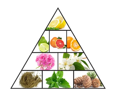 Haramain Xplore Sapphire 100ml Eau De Parfum(Haramain Xplore Sapphire 100ml Eau De Parfum) 5 Haramain Xplore Sapphire 100ml Eau De Parfum(Haramain Xplore Sapphire 100ml Eau De Parfum) - Image 3