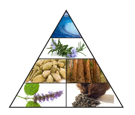 Haramain Xplore Snow 100ml Eau De Parfum(Haramain Xplore Snow 100ml Eau De Parfum) 5 Haramain Xplore Snow 100ml Eau De Parfum(Haramain Xplore Snow 100ml Eau De Parfum) - Image 3