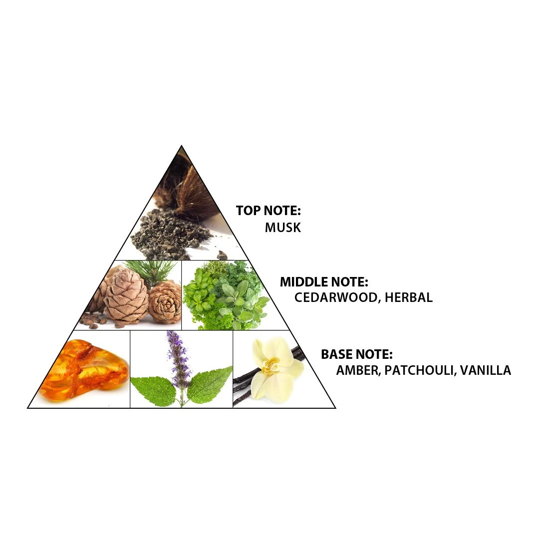 Haramain Layl 12ml Concentrated Perfume Oil(Haramain Layl 12ml Concentrated Perfume Oil) 4 Haramain Layl 12ml Concentrated Perfume Oil(Haramain Layl 12ml Concentrated Perfume Oil) - Image 2