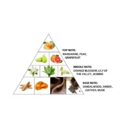 Natural Amber 100ml Extrait De Parfum(Natural Amber 100ml Extrait De Parfum) -Al Haramain ahp1470 natural amber pyramid