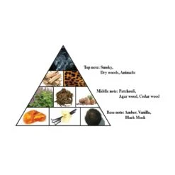 Oudh Patchouli Arabian Perfume Spray 100ml(Oudh Patchouli Edp Spray 100ml) -Al Haramain ahp1661notes