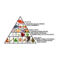 Haramain L’Aventure Grapefruit 100ml Extrait De Parfum(Haramain L Aventure Grapefruit 100ml Extrait De Parfum) -Al Haramain whatsapp image 2024 03 07 at 5.28.32 pm